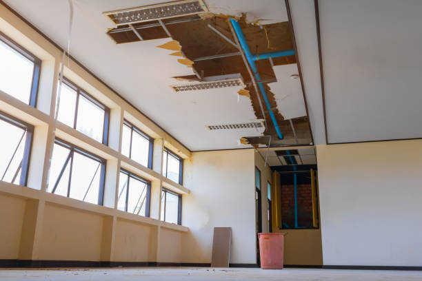 Best Local water damage restoration  in Havana, IL
