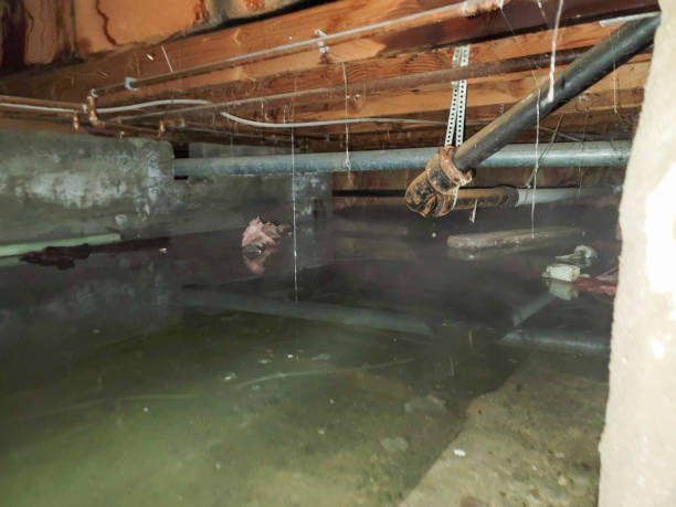 Best Sewage cleanup and water damage restoration  in Havana, IL