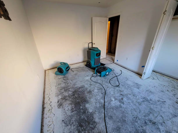 Best Commercial water damage restoration  in Havana, IL