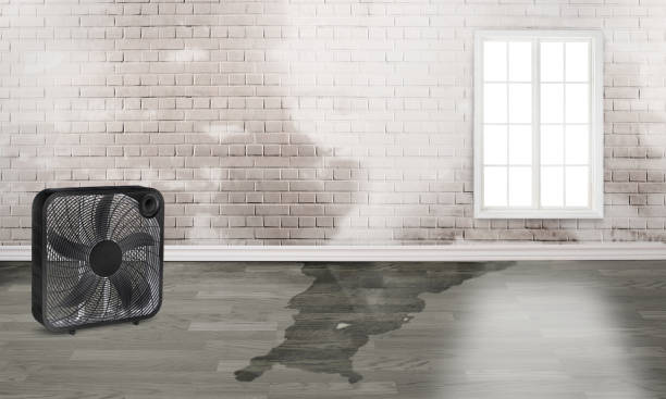 Sewage cleanup and water damage restoration in Havana, IL