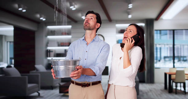 Best Water damage restoration near me  in Havana, IL